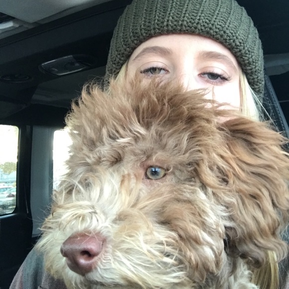 Meet your Posher, Logan - Picture 4 of 7